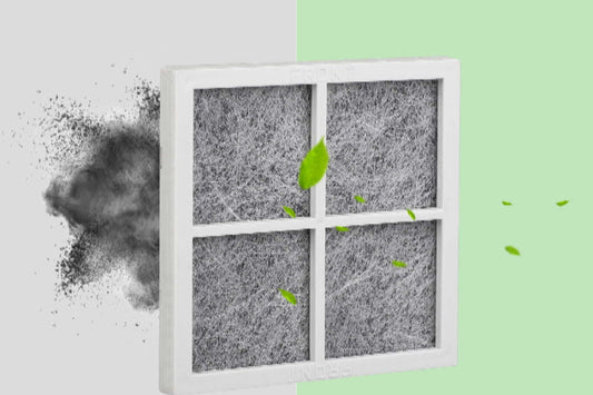 LG LT120F Refrigerator Air Filter with dust particles and leaves on a light green background
