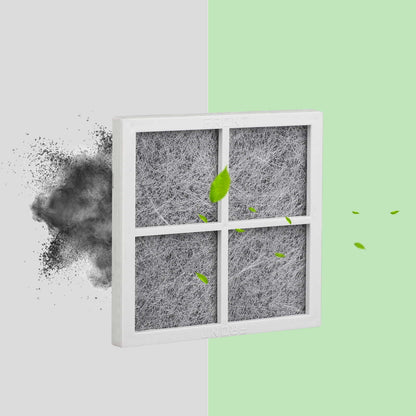 LG LT120F Refrigerator Air Filter with dust particles and leaves on a light green background